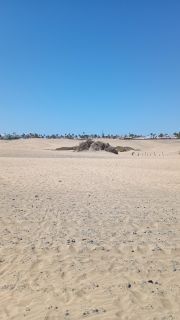 GC-Playa del Ingles 2026-061.jpg
